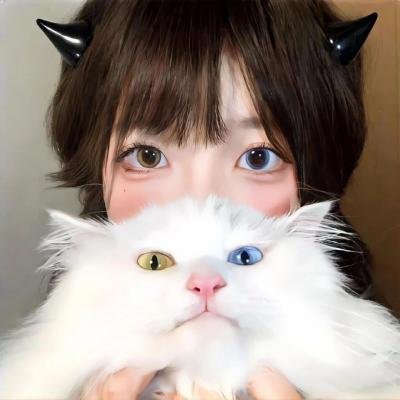 猫侍2